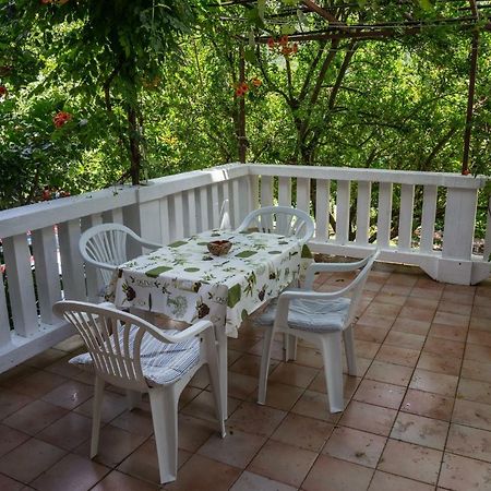 Apartment Nada Medveja لوفغان المظهر الخارجي الصورة